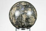 Polished Que Sera Stone Sphere - Brazil #202724-1